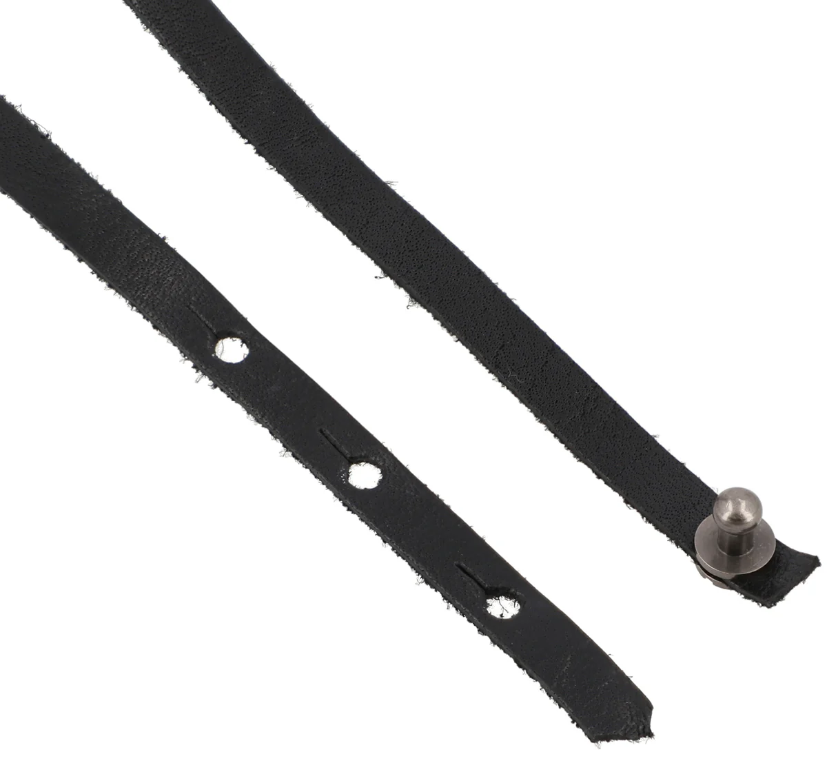 Pablo - Image 6
