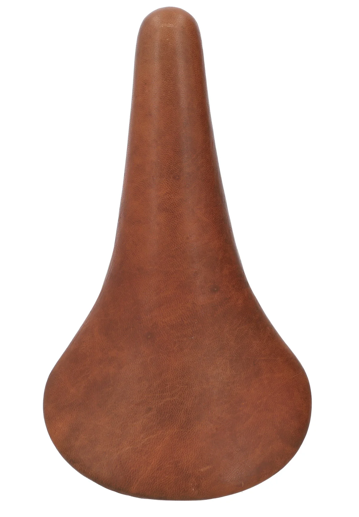 Sean Y. - Image 5