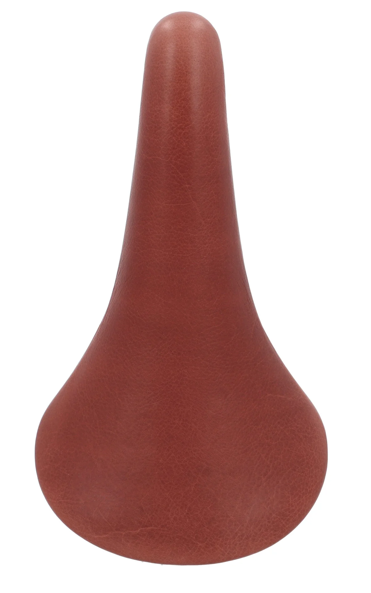Sean Y. - Image 6
