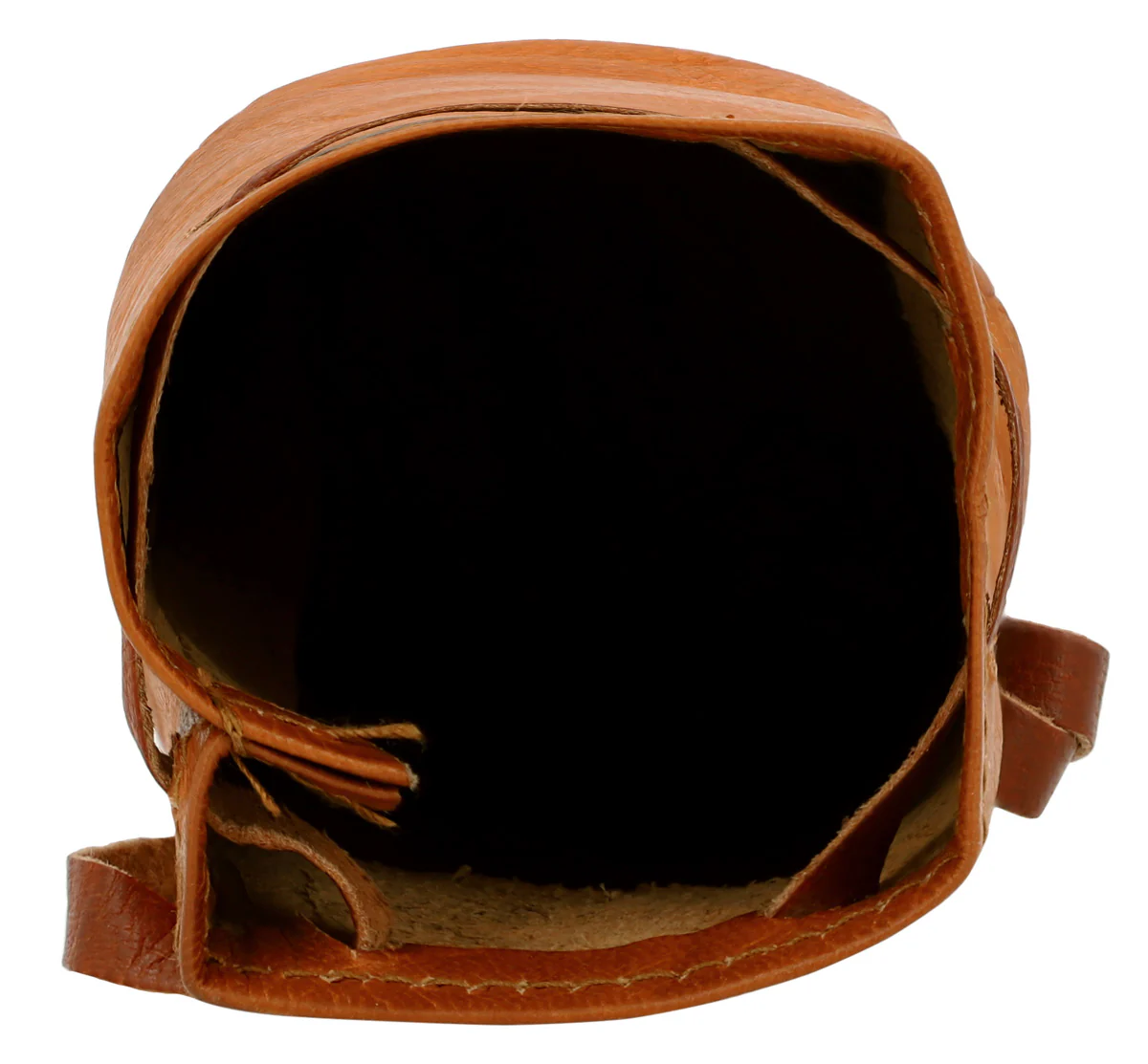 Arlo - Image 6