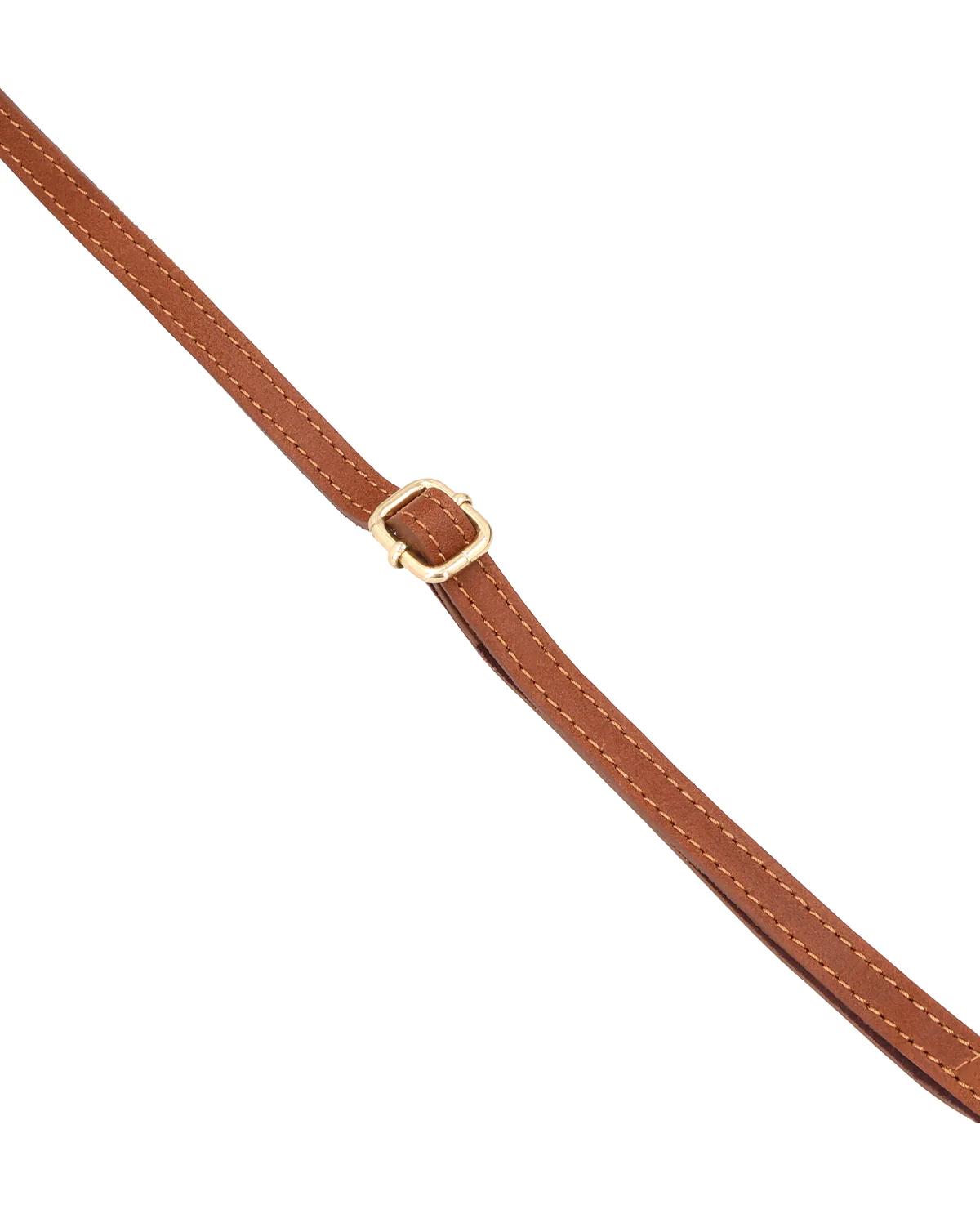 Caio - Image 6