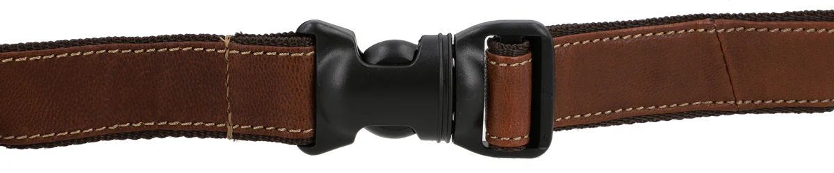 Spencer - Image 7