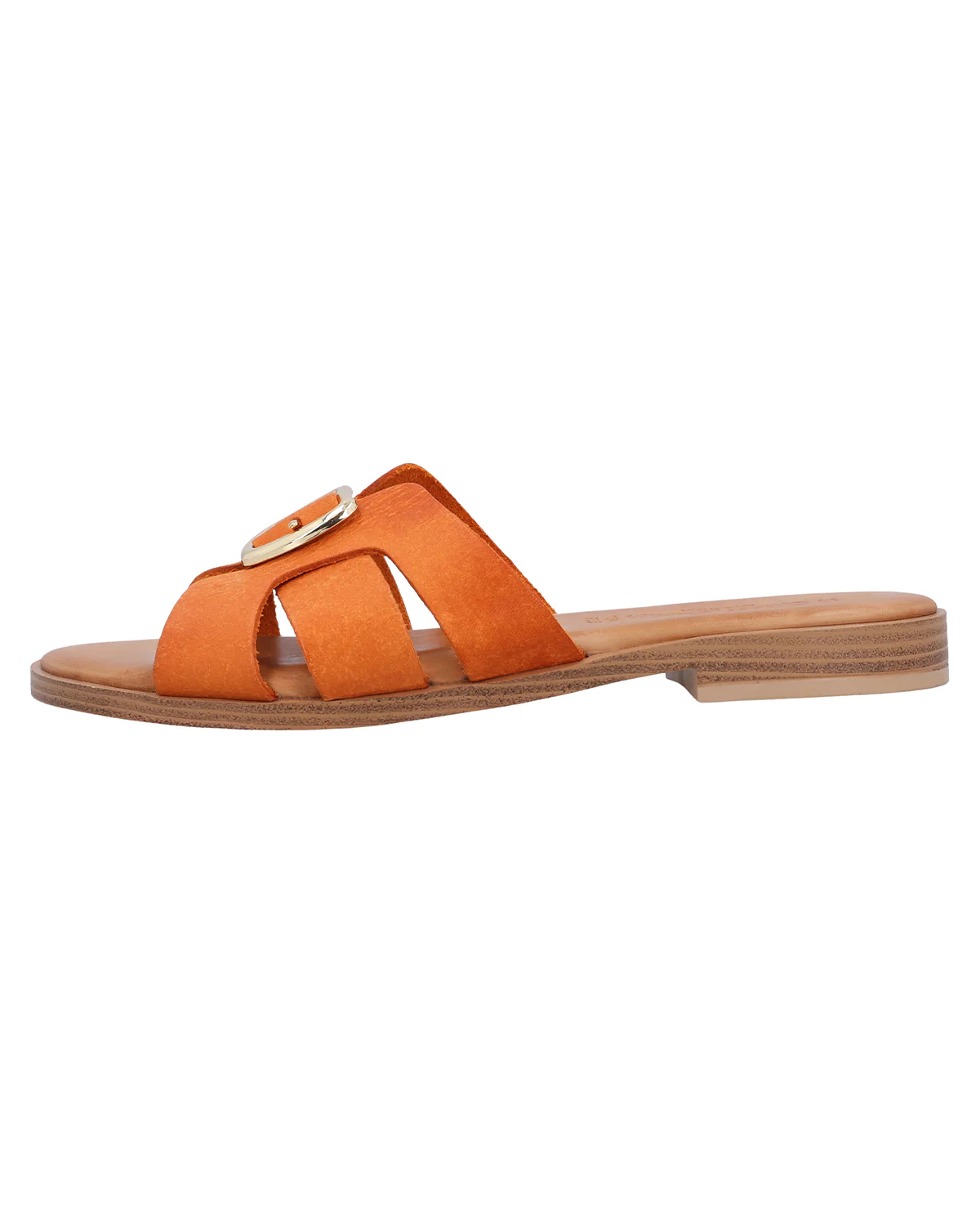 Tine - Image 6